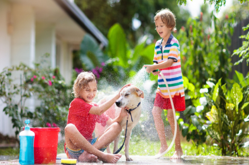 djeca špricaju psa štrcaljkom u vrtu